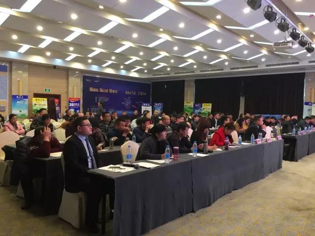 恒峰国际官网 - 天天有惊喜！